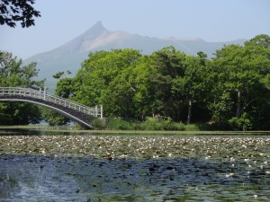 ↑2017年7月13日(散策路「島巡りの路」)