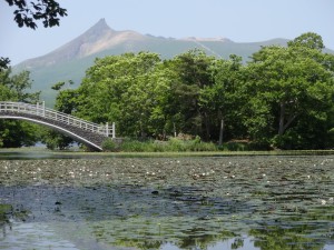 ↑2017年7月8日(散策路「島巡りの路」)