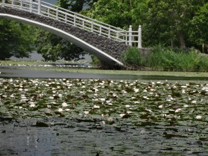 ↑2017年7月21日(島巡りの路)