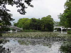 ↑2017年8月2日(島巡りの路)