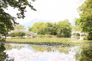 ↑2017年8月27日(散策路「島巡りの路」内)