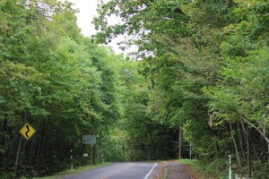 ↑大沼湖畔周遊道路