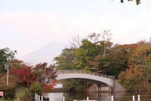 ↑散策路「大島の路」(2017.10.9)