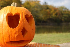 ↑公園広場には、ハロウィンのかぼちゃが並んでいます!(2017.10.17)