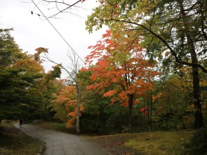 IMG_2640