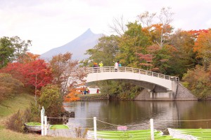 ↑西大島橋。色とりどりです!(2017.10.17)