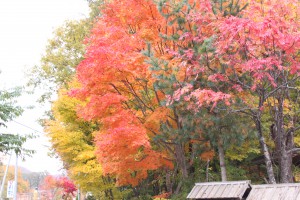 ↑大沼自然ふれあいセンター(自然公園財団事務所)前(2017.10.21)