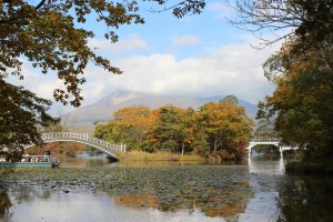 ↑散策路「島巡りの路」。彩り綺麗です。(2017.10.19)