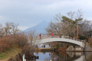 ↑西大島橋。散策されている方がいらっしゃいますね。(2017.11.6)