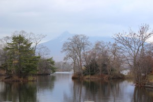 ↑公園広場から。晩秋の装いとなりました。(2017.11.6)